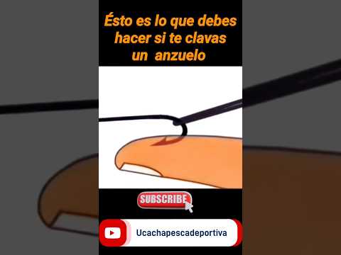 Tips para sacar si te clavas un anzuelo #pescar #shortvideo #pesca #hook #fisherman #viral #fish
