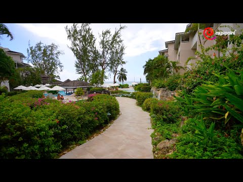 Videos del Sandals Barbados 5★ en Christ Church, Barbados
Ver Más
Ver
Precios
17
Cerrar
Consulta por Whatsapp 🇦🇷
Booking
Tripadvisor
Expedia
Agoda
Travelocity
Orbitz
Priceline
Trip
Skyscanner
Despegar
Kayak
Hoteles
Bestday
Destinia
Almundo
Lastminute
Tui