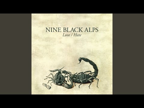 Happiness and Satisfaction - Nine Black Alps