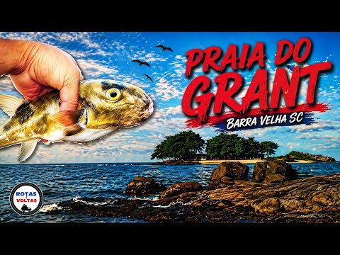 Praia com acesso a ilha do GRANT em Barra Velha SC 