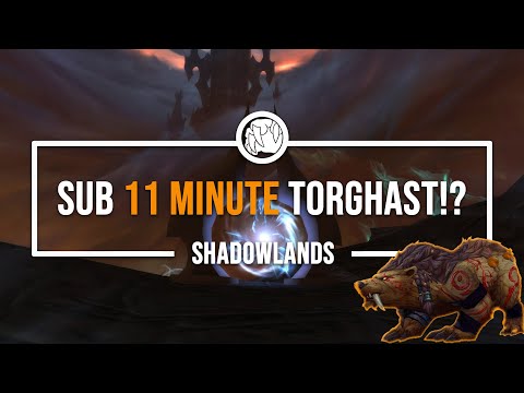 SUB 11 MINUTE !? | Torghast Layer 7 Speed Run | Guardian Druid