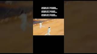 Download lagu Sesuk Prei mp3