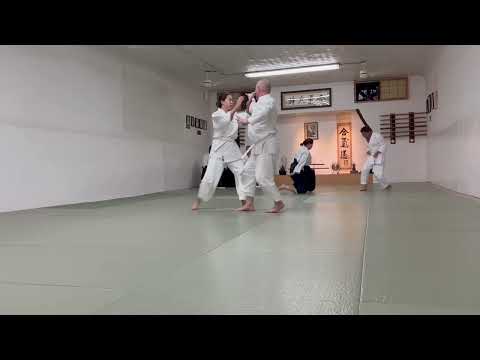 Aikido 2nd Kyu Test at NYA on October 19, 2024