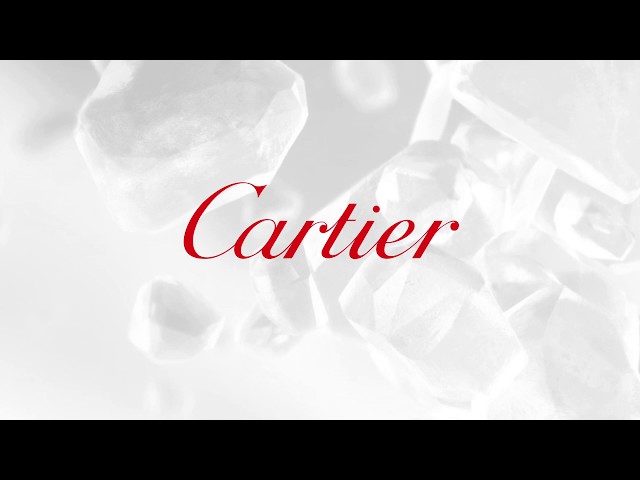 عطر باشا نوير من كارتييه للرجال - او دي تواليت 100مل