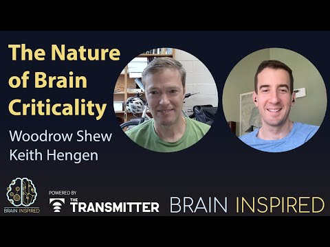 BI 216 Woodrow Shew and Keith Hengen: The Nature of Brain Criticality