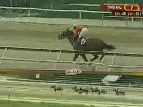 1ERA CARRERA DOM 22 JUNIO LA RINCONADA INH TV Y SPORT HIPICO