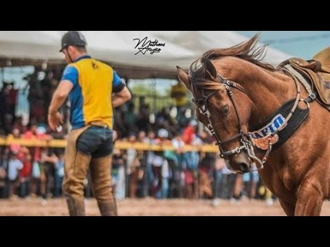 LAMENTO DE UM CAVALO-TARCÍSIO DO ACORDEON(VAQUEIRO MODERNO)
