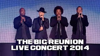 DAMAGE - I&#39;LL BE LOVING YOU FOREVER (THE BIG REUNION LIVE CONCERT 2014)