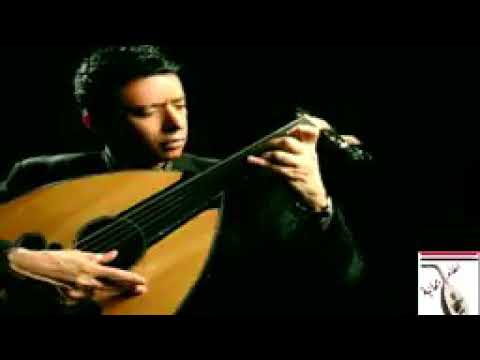 صنعانية مرت من الشارع احمد فتحي