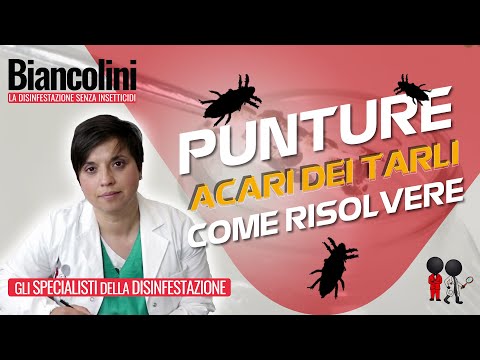 Noce nera di risposte lyambliya Come effettuare la prevenzione di helminths