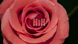 Blugazer &amp; Catherine - Sing Me To Sleep