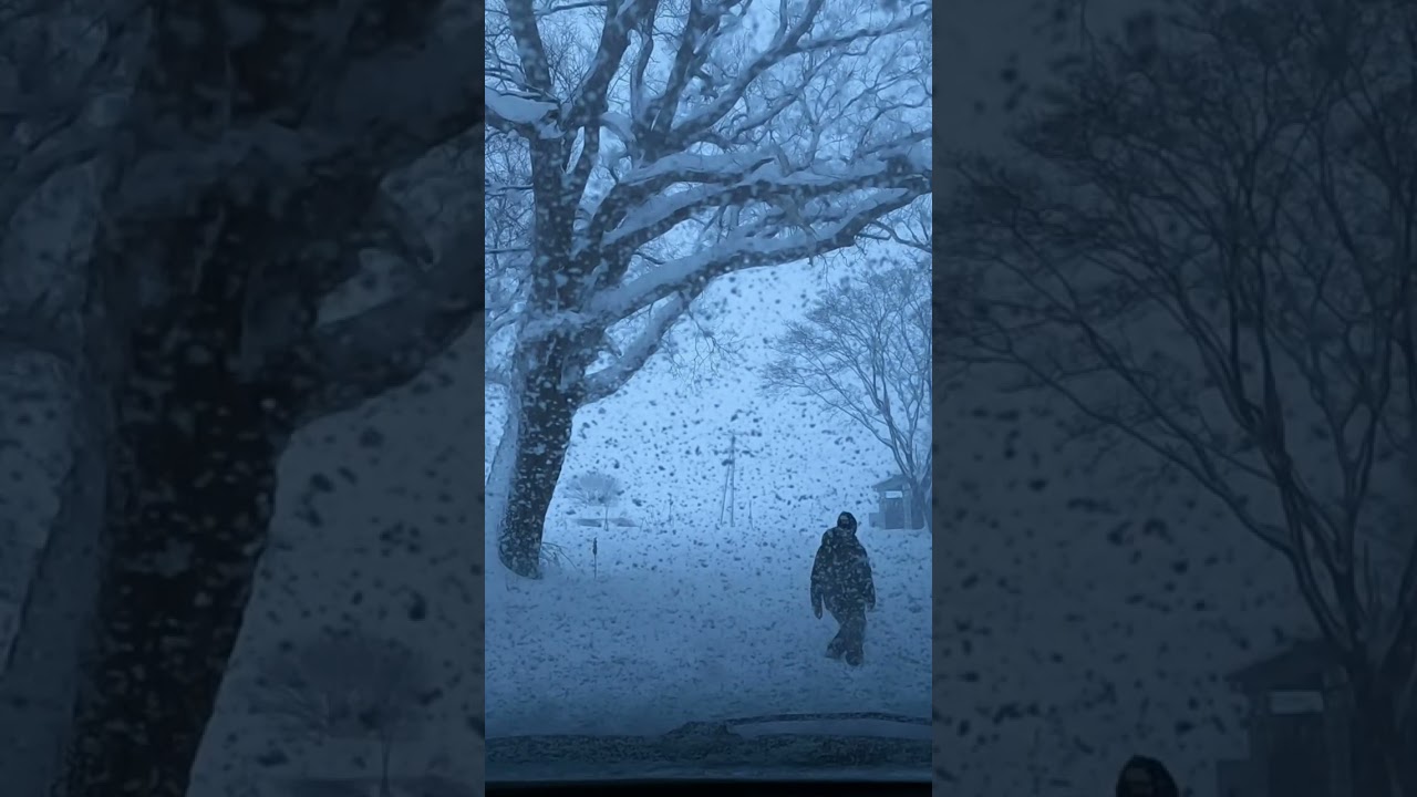 暴風雪⛺SOOMLOOM VIKINGは耐えられるのか？ #shorts