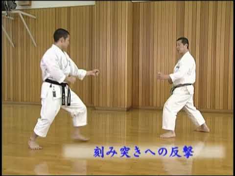 Masao Kagawa sensei. Ashi-waza, tai-sabaki. Jiyu-ippon-kumite with Nagaki Shinji.