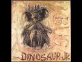 Dinosaur Jr. - The Post