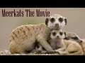 Meerkats The Movie