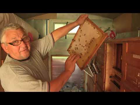 Boja meda ep. 212 29.03.2022. Zagađen vazduh i pčele, transport ramova sa medom, matični mleč