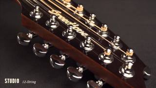 Video thumbnail for Breedlove Acoustic Guitars: Studio 12-String Guitar by Breedlove Guitars