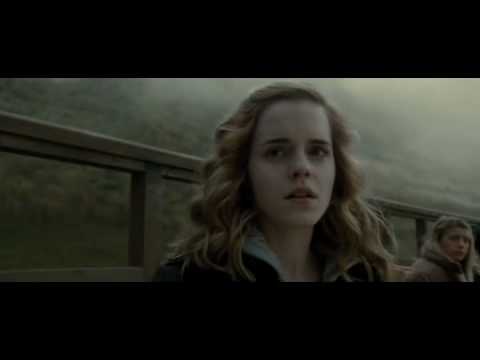 Mr & Mrs Black (HHr AU Fanfiction)