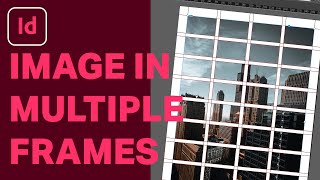 How to Insert One Image in Multiple Frames in InDesign