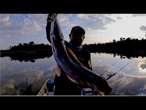 PESCARIA RIO MOGI GUAÇU GUATAPARÁ OBRIGADO DEUS 🙏🙏🙏 POR ESTAR AQUI E VIVER TODAS ESSAS EMOÇÕES 🎣🎣🎣