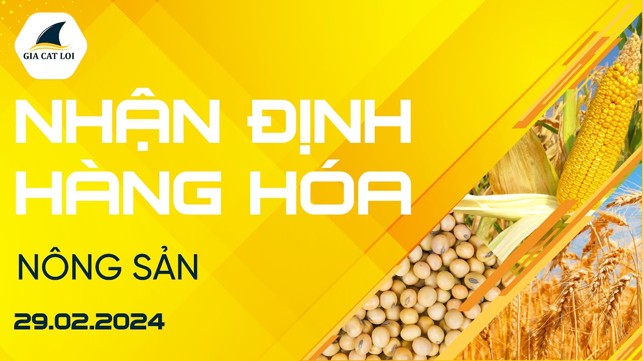Nhận Định Hàng Hoá Nông Sản Ngày 29/02/2024