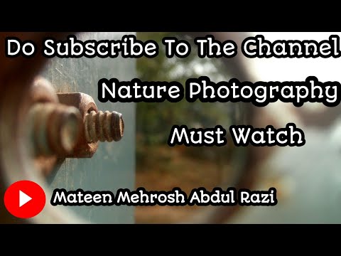 Nature Photography || Mateen Mehrosh