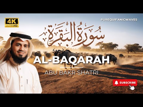 Surah Al-Baqarah Full || By Abu Bakr Al Shatri (HD) With Arabic | سورة البقره