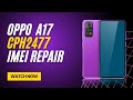 Oppo A17 CPH2477 IMEI Repair Pandora Box Tool