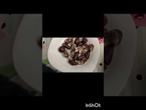 chocolate seashells# chocolate # video#asmr