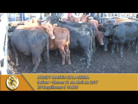 21-04-17 Venta de Vientres - Jorge y Martin De La Serna - Bolivar