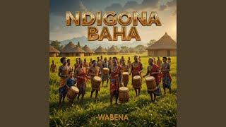 Download lagu Ndigona Baha mp3