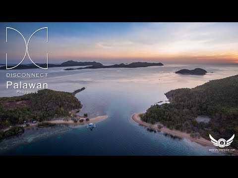 Disconnect: Palawan