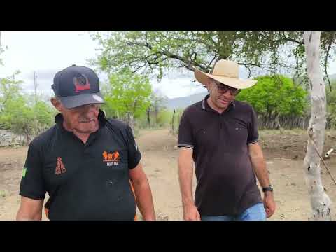 Matuto Mamoeiro entrevista o guerreiro do sertão Genivaldo gente boa de carnaubeira da penha Pe.