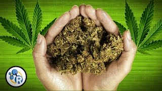 How Does Marijuana Work?