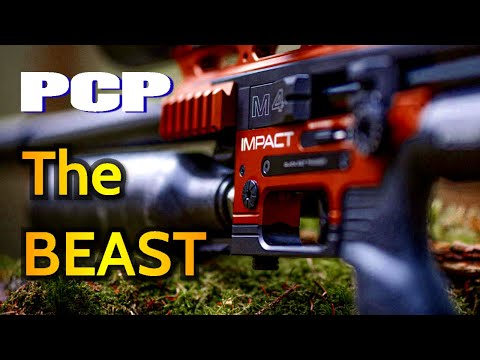 FX Impact M4 the BEST PCP RIFLE FOR AIR GUNS?