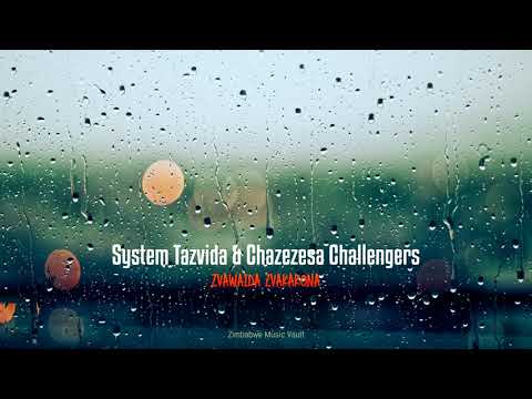 System Tazvida  - Zvawaida Zvakakona