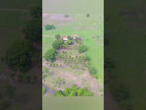 Chácara 10 alq.valor 200 mil por alq documentação no Mato Grosso Vila Rica chama no zap.91982165639