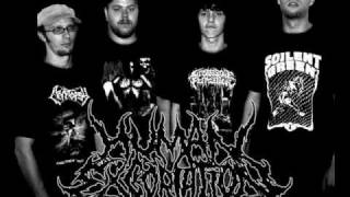 Human Excoriation - Incestuous Existence