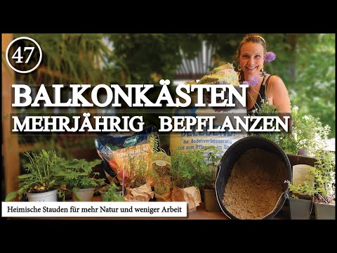 Balcony boxes with native perennials – more biodiversity, less effort