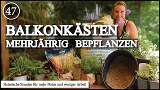 Balkonkästen mit heimischen Stauden – Mehr Biodiversität, weniger Aufwand