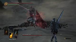 Slave Knight Gael