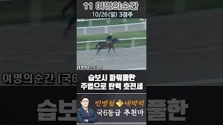 [서울 경마] 민병철 대박픽 2025년 10월 26일 일요 3R 추천마3 #경마 #하이라이트 #한국마사회 #검빛 #고배당 #코리아