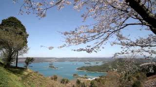 preview picture of video '長崎県　大山公園からいろは島と桜　その3'