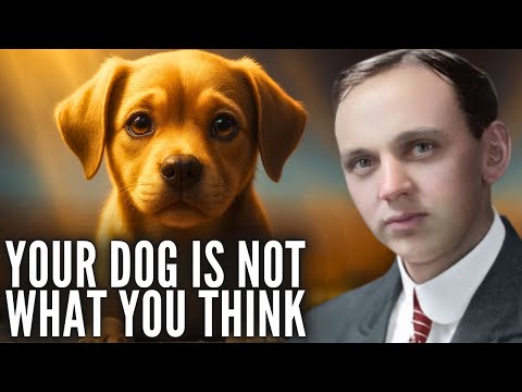 Los perros no son lo que piensas | La revelación espiritual de Edgar Cayce