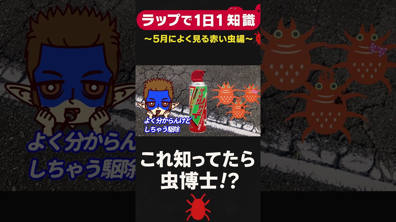 5月に現れる赤い虫の正体、知ってる？【雑学ラップ】 #ショート #雑学 #虫博士 #豆知識 #ラップで解説 #教育系YouTube #shorts #5月の虫 #知って得する