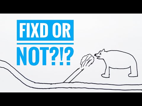 BMW Z3: FIXD or Not??  Product Review of the FIXD OBDII Reader.