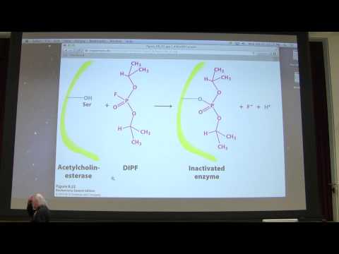 11.  Kevin Ahern's Biochemistry - Enzymes III