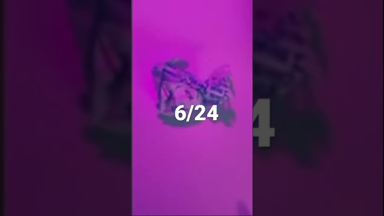 What happened to the GFORCE girl group? Tipseri