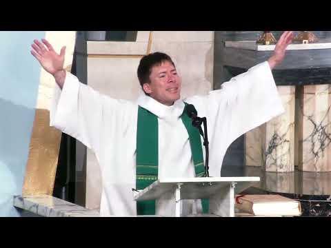 How Goes the Battle? - Fr. Mark Goring, CC