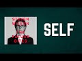Steven Wilson - SELF (Lyrics)